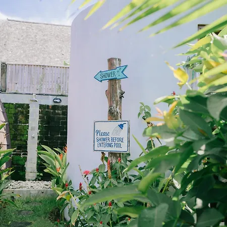 Uluwatu Jungle Villa-2